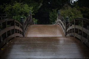 橋に降る雨