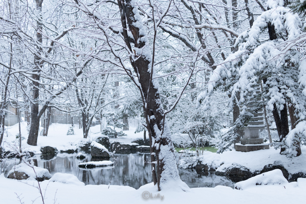 雪景色の帯広神社